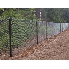 Сітка Рабиця 2x50x50 мм (1,5x10 м) оцинкована